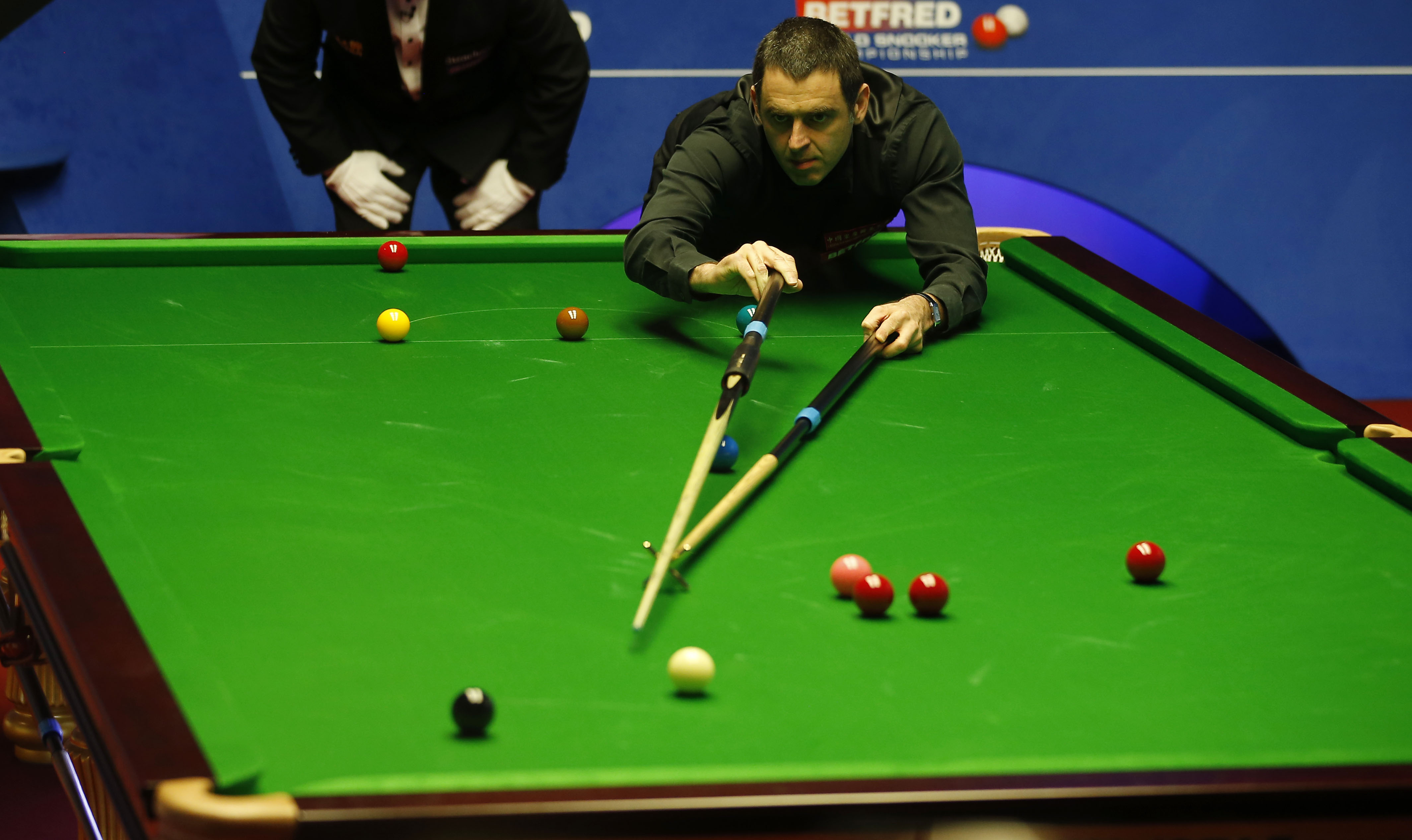 分析这项规 分析这项规